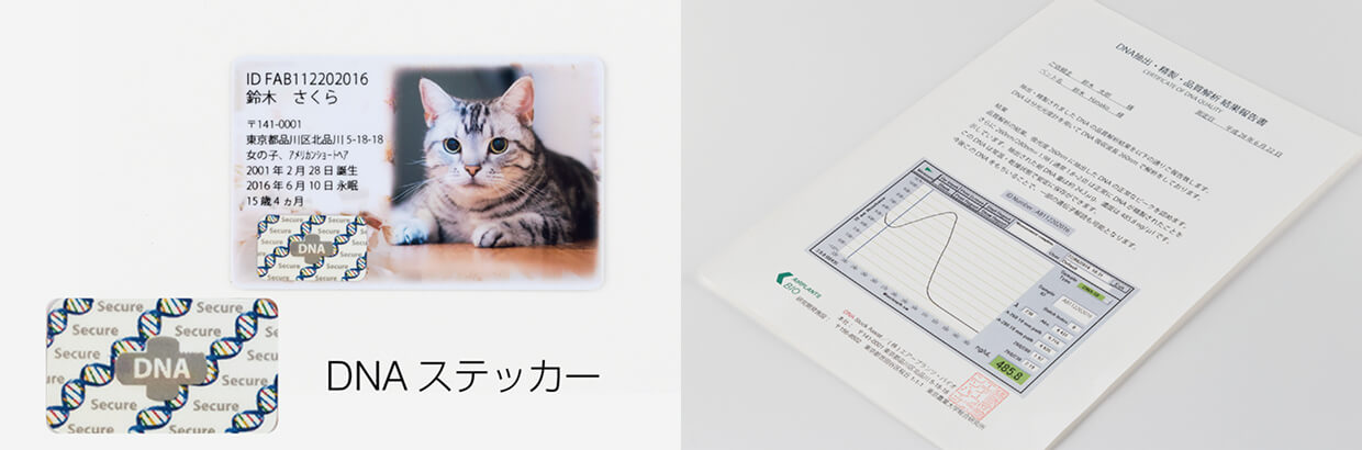 DNAステッカー