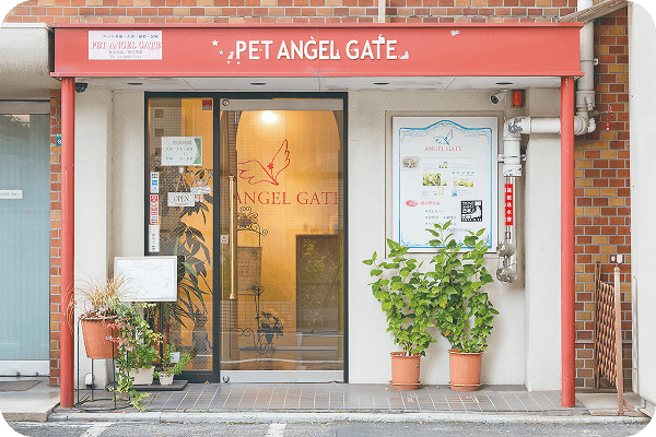 ペットエンジェルゲイト東京池袋