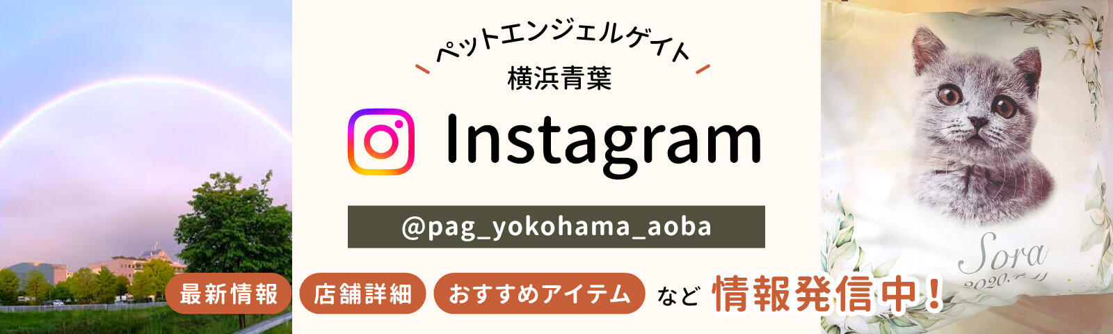 ペットエンジェルゲイト横浜青葉 Instagram